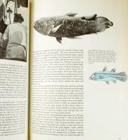 Oceans. An Atlas-History of Man's Exploration of the Deep. General editor: G.E.R. Deacon. Londo...