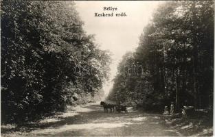 Bellye, Béllye, Bilje; Főhercegi uradalom, Keskend erdő / forest. photo
