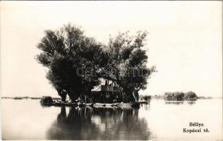 Bellye, Béllye, Bilje; Főhercegi uradalom, Kopácsi tó / lake, boats. photo