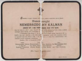 1884 Komárom, nemesszeghi Nemesszeghy Kálmán (1853-1884) gimnáziumi tanár, a Magyar Természettudomán...