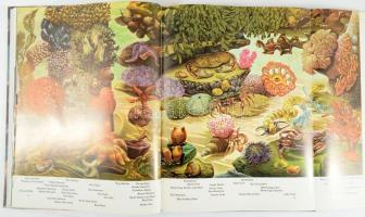 Leonard Engel: The Sea. Life Nature Library. 1962, Time-Life. Angol nyelven. Gazdag képanyaggal illu...