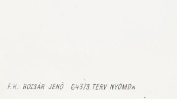 Müller Ilona (1929-2012): Pajtás, a legjobb pajtás, 1964. Fényképezőgép reklámplakát, papír, Terv Ny...