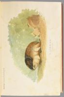 Hermann Ottó: Az északi madárhegyek tájáról. Bp., 1893., Kir. M. Természettudományi Társulat, VIII+5...