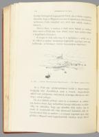 Hermann Ottó: Az északi madárhegyek tájáról. Bp., 1893., Kir. M. Természettudományi Társulat, VIII+5...