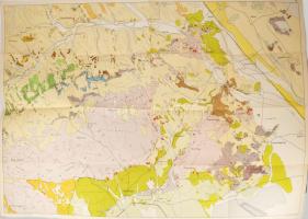 cca 1957 A Bakonyhegység északi részének földtani térképe. Geologische Karte des Nördlichen Teils de...
