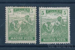 1919 Magyar Posta 5f eltolódott, vékony értékszámokkal + támpéldány