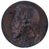 1879-1949. "Hercz Gépgyár Miskolczon" kétoldalas, öntött bronzozott Fe plakett, előlapján ...