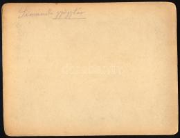 cca 1900-1910 Simánd (Erdély, Arad vármegye), gyógyszertár (patika) bejárata, előtte emberek, kemény...