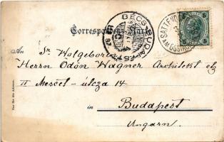 1902 Gailthalerin. Joh. Leon. sen. / Carinthian folklore (fl)