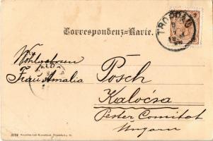 1899 Opava, Troppau; Oberring / market square, town hall. Verlag J. Feitzinger (tear)