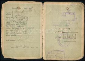 1923-1924 A Magyar Királyság által kiállított fényképes útlevél tanuló részére, benne olasz, spanyol...