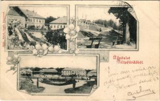 1901 Félixfürdő, Baile Felix; forrás, fürdő. Helyfi László kiadása, szecessziós-virágos keret / spa,...
