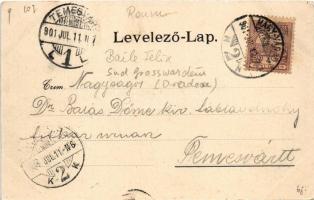 1901 Félixfürdő, Baile Felix; forrás, fürdő. Helyfi László kiadása, szecessziós-virágos keret / spa,...