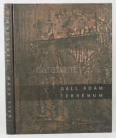 Gáll Ádám: Terrénum. / Terrain. Szeifert Judit bevezető tanulmányával. Gáll Ádám (1953-) festőművész...