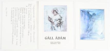 Gáll Ádám: Terrénum. / Terrain. Szeifert Judit bevezető tanulmányával. Gáll Ádám (1953-) festőművész...