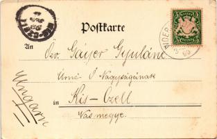 1899 Bad Wörishofen, Kneippianum und Kinderasyl / spa, children's asylum, orphanage (tear)