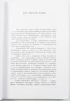 Jánosy István: Vitéz Horthy István, a repülő. Bp., 2001, Nemzetek Európája. Reprint kiadás. Fekete-f...