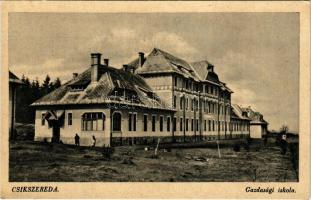 Csíkszereda, Miercurea Ciuc; Gazdasági iskola. Péter Ferenc kiadása / economic school