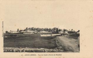 Addis Ababa with the Ménélick palace