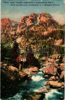 Tátra, Magas-Tátra, Vysoké Tatry; Nagy Tarpataki völgyrészlet a középorommal. Feitzinger Ede Ph. No....