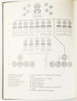Dienes, István: Les Hongrois Conquérants. Hereditas. Bp., 1972, Corvina. Francia nyelven. Gazdag kép...