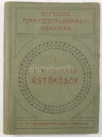 Dr. Wodetzky József: Üstökösök. Népszerű Természettudományi Könyvtár I. Bp., 1910, K. M. Természettu...