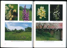 A Keszthelyi-hegység. Szerk.: Futó János. A Balaton-felvidék természeti értékei VI. Csopak, 2006, Ba...