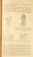 Graber Vitus: Az állatok mechanikai műszerei. Bp., 1895, K. M. Természettudományi Társulat. 415p. Ki...