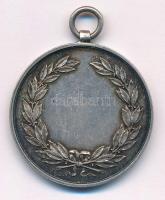 1920-1930 k. "Budapesti Torna Club" jelzett Ag díjérem, "S.G.A." gyártói jelzéss...