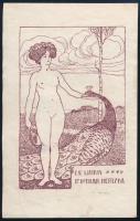 Bér Dezső (1875-1924): Ex libris Dr. Lothar Hertzka (szecessziós könyvjegy). Klisé, papír, jelzett a...