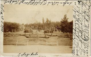 1906 Óléc, Ólécz, Stari Lec; kastély parkja / castle park. photo (kis szakadás / small tear)