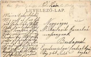 1906 Óléc, Ólécz, Stari Lec; kastély parkja / castle park. photo (kis szakadás / small tear)