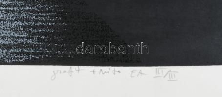 Szabó Ábel (1974-): A vonal kettőzése, 1998. Szitanyomat, grafit, papír, jelzett, művészpéldány EA I...