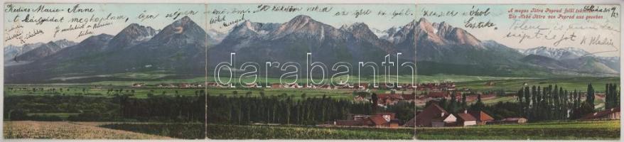 1905 Tátra, Magas Tátra, Vysoké Tatry; Poprád felől tekintve. 3-részes kinyitható panorámalap / view...