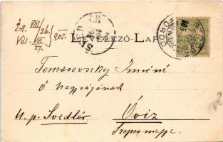1905 Stószfürdő, Stoósz-fürdő, Kúpele Stós; Budapest és Dr. Czirfusz villa, nyaralók. Wlaszlovits Gu...