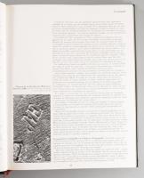Bill G. B. Pallot: L'Art du Siége au XVIIIe Siécle en France. [A szék művészete a 18. századi F...