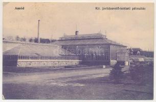1929 Aszód, királyi javítónevelői intézeti pálmaház. Vas József kiadása + "SALGÓTARJÁN - BUDAPE...