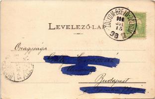 1902 Zólyom, Zvolen; vár. Lechnitzky O. kiadása (Besztercebánya) / castle + "ZÓLYOM-BREZÓ - ZÓL...