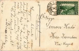 1911 Les Désentravees. K. F. Paris 4485. s: Xavier Sager + "K.U.K. MILIT. POST BOS. NOVI" ...