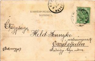 1905 Türkische Hochzeit / Turska svatba / Török esküvő Boszniában / Turkish wedding in Bosnia + &quo...