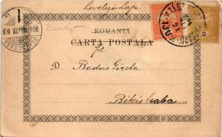 1904 Sinaia, Castelul Peles / castle + "SZÁSZ-RÉGEN - KOCSÁRD 130. SZ." vasúti mozgóposta ...
