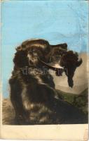 Vadászkutya kacsával, színezett / hunting dog with duck, coloured. photo (felületi sérülés / surface...