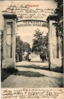Pancsova, Pancevo; Népkert. Kohn Samu / Volksgarten / park (EK)