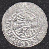 Lengyelország 1511. 1/2Gr "Sigismund I." Ag T:3-