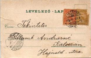 1903 Pancsova, Pancevo; Sóraktár, M. kir. fővámhivatal. Kohn Samu kiadása / salt depot, customs offi...
