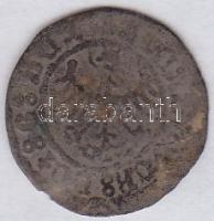 Lengyelország 1501-1506. 1K "Alexander Jagiellonczyk" T:3-