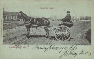 Nyíregyházi taligás