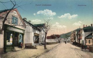 Lipová-lázne (Bad Lindewiese) main street with bookshop