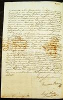 1809 Helytartótanácsi levél gr. Brunswick József országbíró és Darvas Ferenc, író, követ saját kezű ...