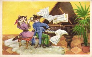 Dog and cat piano duo